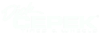 Dick-cepek