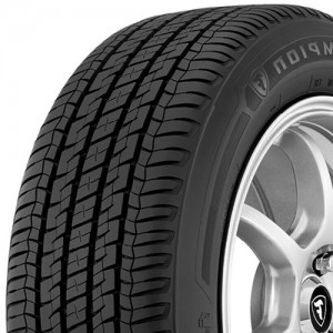 Firestone CHAMPION FUEL FIGHTER